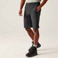 Regatta Men's 'Highton' Long Walking Shorts in Grey | Size: 32