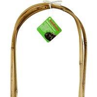 SupaGarden U-Shaped Bamboo Canes (Pack Of 3) in Cream
