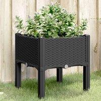 Berkfield Home Garden Planter with Legs Black 40x40x42 cm PP | Size: 40 x 40 x 42 cm