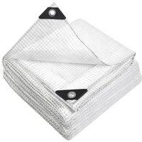 Keplin 3x4m Waterproof Tarpaulin Cover Sheet 100gsm (Clear Mesh) in Clear