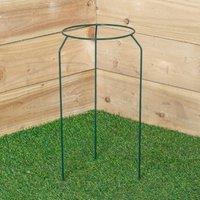 Samuel Alexander Tom Chambers Green Metal Herbaceous Garden Plant Support Ring Small in Dark Green