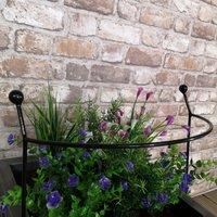 Samuel Alexander Tom Chambers Cottage Heavy Duty Black Metal Steel Herbaceous Garden Plant Support Arc Small 60cm x 36cm | Size: 60 cm x 36 cm