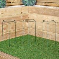Samuel Alexander Pack of 3 Tom Chambers Green Metal Herbaceous Garden Plant Support Rings Small in Dark Green