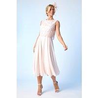 Roman Women's Petite Lace Overlay Midi Dress in Light Pink | Size: 14