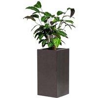 Primrose Metallic Grey Polystone Tall Cubic Outdoor Garden Planter 60cm in Dark Grey