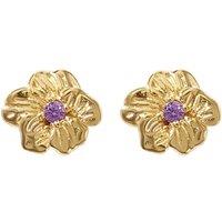 Harfi Women's Amethyst February Birthstone Violet Birthflower Stud Earrings in Gold