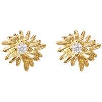 Harfi Women's White Topaz April Birthstone Daisy Birthflower Stud Earrings in Gold