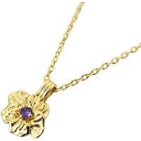 Harfi Women's Amethyst February Birthstone Violet Birthflower Charm Necklace in Gold | Size: 18 inches