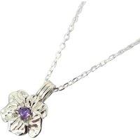 Harfi Women's Amethyst February Birthstone Violet Birthflower Charm Necklace in Silver | Size: 18 inches