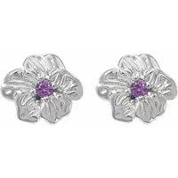 Harfi Women's Amethyst February Birthstone Violet Birthflower Stud Earrings in Silver