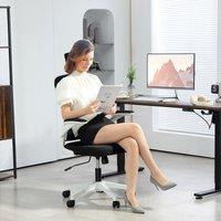 HOMCOM Executive Mesh Office Chair with Headrest, Lumbar Support in Black