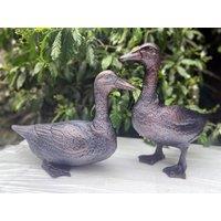 Inspirational Gifting Pair of Ducks Garden Sculpture Cast Aluminium Ornament in Bronze