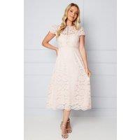 Wallis Women's Lace Fit & Flare Midi Dress in Blush | Size: 20