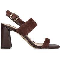 STEVE MADDEN Women's 'Wendie' Suede Heels in Dark Brown | Size: 8