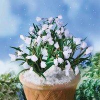 Gainsborough Artificial Snowdrop Flower Picks Set of 3, Weather Resistant H35cm
