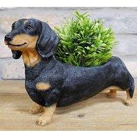Animal Crackers Dachshund Planter Home Or Garden Decoration Sausage Dog Lover Gift in Brown