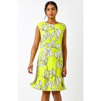 Roman Women's Linear Floral Print Swing Dress in Lime | Size: 10