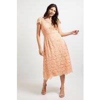 Wallis Women's Lace Fit & Flare Midi Dress in Peach | Size: 16
