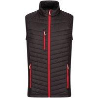 Regatta Professional Men's Quilted Hybrid Gilet in True Black | Size: 4XL