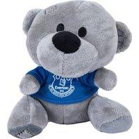 Everton FC Teddy Bear in Grey