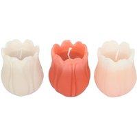 Something Different Tulip Candle (Pack of 3)