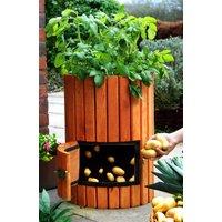 Primrose Original Wooden Potato Barrel Storage 60cm in Beige