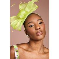 Coast Women's Bow & Feather Fascinator in Lime