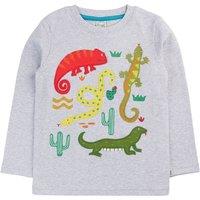Frugi Boy's Terrific Applique Top in Grey | Size: 4-5 Years