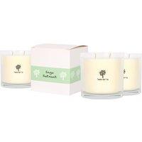 Nicola Spring 3x 400g Soy Wax Scented Candles - Sage Retreat Aromatherapy Jar Candle in Clear