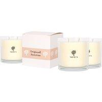Nicola Spring 3x 400g Soy Wax Scented Candles - Tropical Sunrise Aromatherapy Jar Candle in Clear