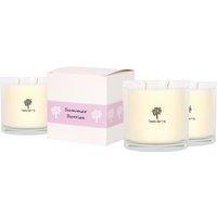 Nicola Spring 3x 400g Soy Wax Scented Candles - Summer Berries Aromatherapy Jar Candle in Clear
