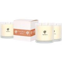 Nicola Spring 3x 400g Soy Wax Scented Candles - Pumpkin Spice Aromatherapy Jar Candle in Clear