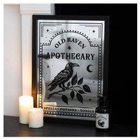 KDMD Old Raven Apothecary Mirrored Wall Art in Silver