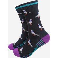 Sock Talk Men's Pigeons Bamboo Socks Black Purple | Size: 7-11
