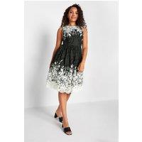 M&Co Women's Midi Dress in Black | Size: 8
