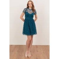 Lovedrobe Women's Floral Lace Short Sleeve Mini Dress in Teal | Size: 24