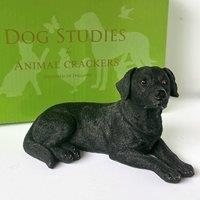 Animal Crackers Realistic Laying Black Labrador Dog Figurine, 16cm, Gift Boxed