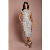 Coast Women's Petite Cap Sleeve Pearl Embellished Pencil Dress in Blush | Size: 12
