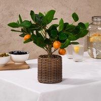 OHS Artificial Orange Tree Plant in Pot Kitchen New Home Natural Style in Burnt Orange