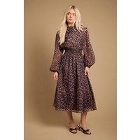 Oasis Women's Leopard Organza Shirred Waist Midi Dress in Animal | Size: 12