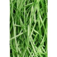 Neel Blue Shredded Tissue Paper, Decorative Gift Packaging Hamper Filler - 100g in Green