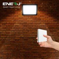 ENER-J 50W LED Floodlight Pre Wired with 500W RF Receiver 1 Gang Wireless in Black