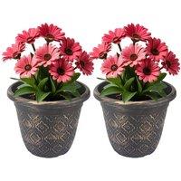 Almineez Set of 2 Rustic Plant Flower Pot Indoor & Outdoor Plastic Plant Pots Copper