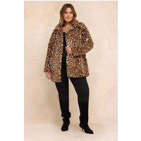 Evans Women's Faux Fur Coat in Brown | Size: 20