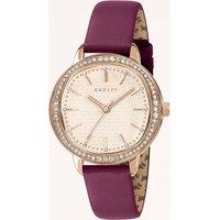 Radley Women's RY21850 Berry Lane 36mm Quartz Watch in Burgundy