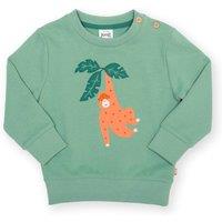 Kite Boy's Orangutan Sweatshirt in Green | Size: 3-6 m