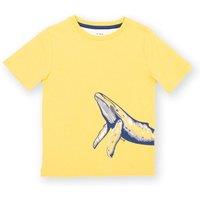 Kite Boy's Humpback T-Shirt in Yellow | Size: 4 Years
