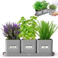 Green Thumbz Set of 3 Herb Planter Indoor with Leather Handled Tray in Grey