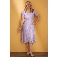 Anna Rose Women's Shimmer Lace Dress in Lilac | Size: 14