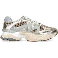 STEVE MADDEN Women's 'Speeder Gold' Fabric Trainers in Gold | Size: 6